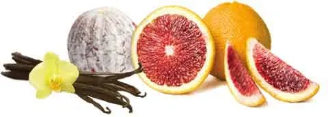 Queenside Saltnic - Five Pawns