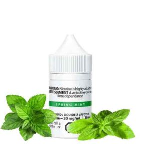 Spring Mint Salt - Salt Nix